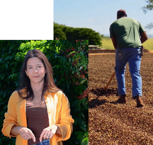 Produtor Fazenda Santa Amália